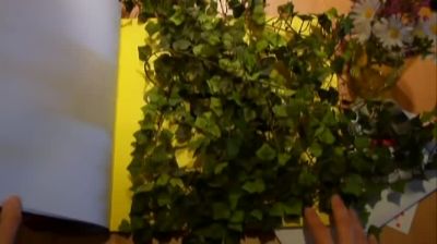 Paulina_Goto_-_Mio_2828Videoclip2929_000220.jpg