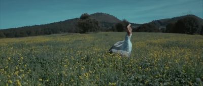 Click to view full size image
==============
Mis_suenos_cantan-_Paulina_Goto_000189.jpg Mis_suenos_cantan-_Paulina_Goto_000189.jpg