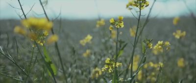 Click to view full size image
==============
Mis_suenos_cantan-_Paulina_Goto_000192.jpg Mis_suenos_cantan-_Paulina_Goto_000192.jpg