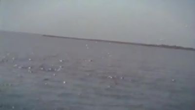 Click to view full size image
==============
Paulina_Goto_-_Libelulas_28Video_Oficial29_000145.jpg Paulina_Goto_-_Libelulas_28Video_Oficial29_000145.jpg