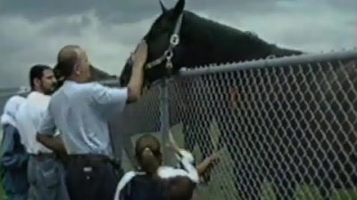 Click to view full size image
==============
Paulina_Goto_-_Libelulas_28Video_Oficial29_000180.jpg Paulina_Goto_-_Libelulas_28Video_Oficial29_000180.jpg