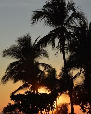 Click to view full size image
==============
d_283329.jpg d_283329.jpg