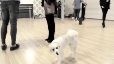 Click to view full size image
==============
Making_Of_Tu_Sigue_000068.jpg Making_Of_Tu_Sigue_000068.jpg