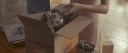 Paulina_Goto_-_Tu_Sigue_28Video_Oficial29_000010.jpg