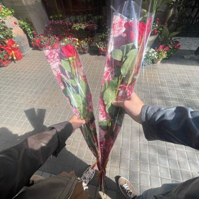 Snapinsta_app_342731425_236972468994253_7955628965445399281_n_1080.jpg