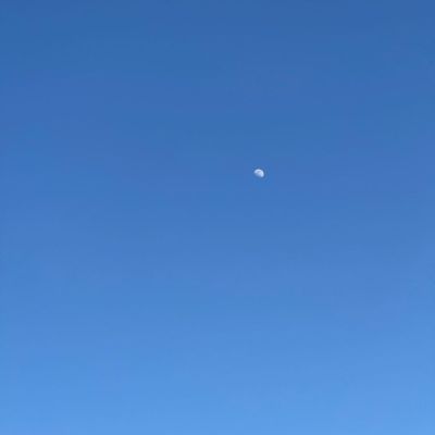 Click to view full size image
==============
Snapinsta_app_358355516_187894544017432_1384186061647445402_n_1080.jpg Snapinsta_app_358355516_187894544017432_1384186061647445402_n_1080.jpg