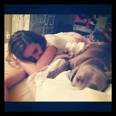 Click to view full size image
==============
11236057_786517218122158_1181687719_n.jpg 11236057_786517218122158_1181687719_n.jpg