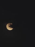 SnapInsta_io-Paulina_Goto_-_Siete_Planetas_28Videolyric29_000003.jpg