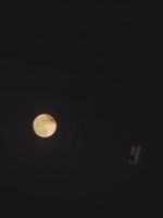 SnapInsta_io-Paulina_Goto_-_Siete_Planetas_28Videolyric29_000133.jpg