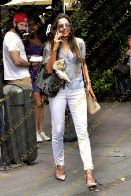 watermark_285029.jpg
