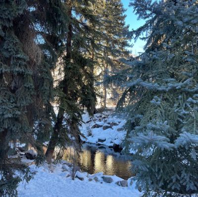 Click to view full size image
==============
Snapinsta_app_410232105_722955626138696_5266249045899003460_n_1024.jpg Snapinsta_app_410232105_722955626138696_5266249045899003460_n_1024.jpg