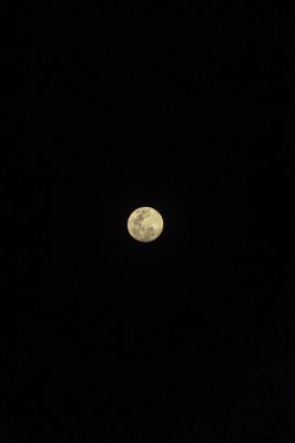 EAD09653-B230-4CFB-954F-574A4D441A35.jpeg