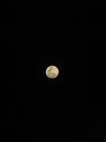 EAD09653-B230-4CFB-954F-574A4D441A35.jpeg