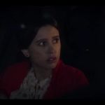 videoplayback_28229_002107.jpg