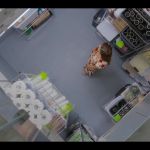 Mae_So_Tem_Duas_-_Episodio_3x3_002167.jpg