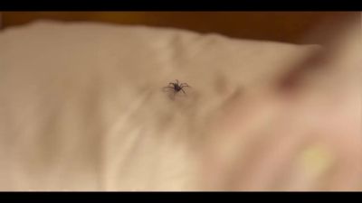 Click to view full size image
==============
Assistir_Mae_So_Tem_Duas_-_Episodio_3x4_online_gratis_001268.jpg Assistir_Mae_So_Tem_Duas_-_Episodio_3x4_online_gratis_001268.jpg