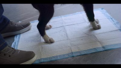 Click to view full size image
==============
Assistir_Mae_So_Tem_Duas_-_Episodio_3x7_online_gratis_000649.jpg Assistir_Mae_So_Tem_Duas_-_Episodio_3x7_online_gratis_000649.jpg