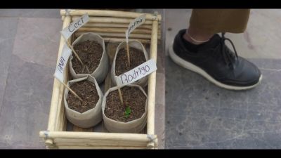 Click to view full size image
==============
Assistir_Mae_So_Tem_Duas_-_Episodio_3x7_online_gratis_001100.jpg Assistir_Mae_So_Tem_Duas_-_Episodio_3x7_online_gratis_001100.jpg