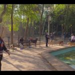 Assistir_Mae_So_Tem_Duas_-_Episodio_3x7_online_gratis_000353.jpg
