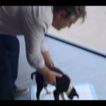 Assistir_Mae_So_Tem_Duas_-_Episodio_3x7_online_gratis_000644.jpg