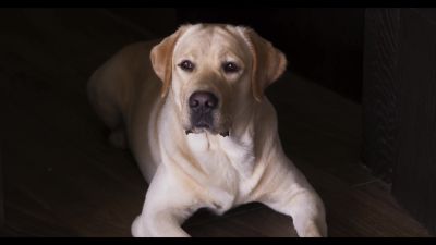 Click to view full size image
==============
173068--6649ac90-8993-475e-9009-ee742b5f2b92--bqbs--1276996-uptobox_000385.jpg 173068--6649ac90-8993-475e-9009-ee742b5f2b92--bqbs--1276996-uptobox_000385.jpg