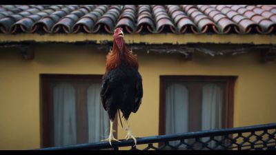 Click to view full size image
==============
173068--6649ac90-8993-475e-9009-ee742b5f2b92--bqbs--1276996-uptobox_001917.jpg 173068--6649ac90-8993-475e-9009-ee742b5f2b92--bqbs--1276996-uptobox_001917.jpg