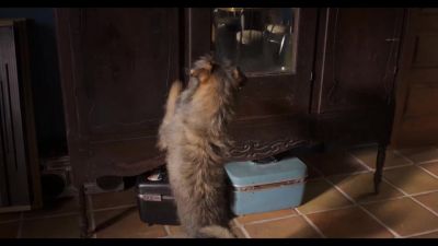 Click to view full size image
==============
173068--6649ac90-8993-475e-9009-ee742b5f2b92--bqbs--1276996-uptobox_002182.jpg 173068--6649ac90-8993-475e-9009-ee742b5f2b92--bqbs--1276996-uptobox_002182.jpg