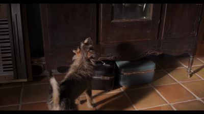 Click to view full size image
==============
173068--6649ac90-8993-475e-9009-ee742b5f2b92--bqbs--1276996-uptobox_002191.jpg 173068--6649ac90-8993-475e-9009-ee742b5f2b92--bqbs--1276996-uptobox_002191.jpg