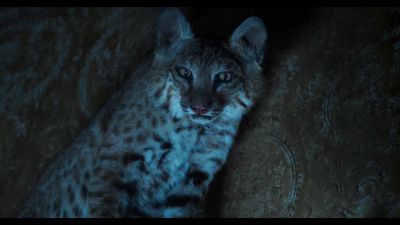 Click to view full size image
==============
173068--6649ac90-8993-475e-9009-ee742b5f2b92--bqbs--1276996-uptobox_002295.jpg 173068--6649ac90-8993-475e-9009-ee742b5f2b92--bqbs--1276996-uptobox_002295.jpg