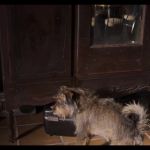 Filename=173068--6649ac90-8993-475e-9009-ee742b5f2b92--bqbs--1276996-uptobox_002178.jpg
Filesize=145KiB
Dimensions=1920x1080
Date added=Oct 02, 2024 173068--6649ac90-8993-475e-9009-ee742b5f2b92--bqbs--1276996-uptobox_002178.jpg