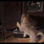 Filename=173068--6649ac90-8993-475e-9009-ee742b5f2b92--bqbs--1276996-uptobox_002179.jpg
Filesize=123KiB
Dimensions=1920x1080
Date added=Oct 02, 2024 173068--6649ac90-8993-475e-9009-ee742b5f2b92--bqbs--1276996-uptobox_002179.jpg