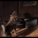 Filename=173068--6649ac90-8993-475e-9009-ee742b5f2b92--bqbs--1276996-uptobox_002192.jpg
Filesize=147KiB
Dimensions=1920x1080
Date added=Oct 02, 2024 173068--6649ac90-8993-475e-9009-ee742b5f2b92--bqbs--1276996-uptobox_002192.jpg