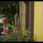 Filename=173068--6649ac90-8993-475e-9009-ee742b5f2b92--bqbs--1276996-uptobox_003651.jpg
Filesize=170KiB
Dimensions=1920x1080
Date added=Oct 02, 2024 173068--6649ac90-8993-475e-9009-ee742b5f2b92--bqbs--1276996-uptobox_003651.jpg