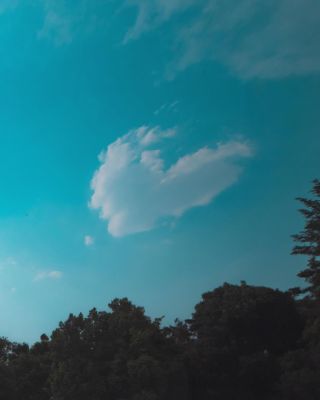 SnapInsta_to_500354226_18502544680011861_5772568438411478210_n.jpg