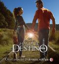 un-camino-hacia-el-destino18.jpg